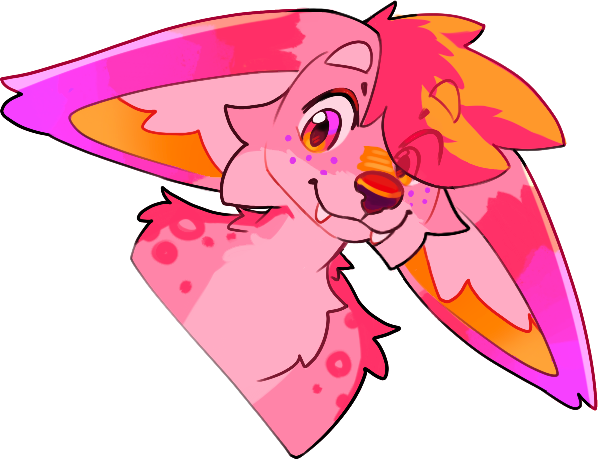 Head Kokou