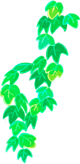 Top ivy